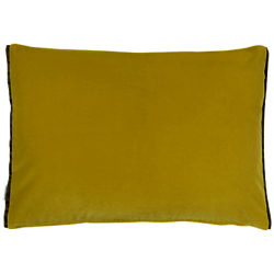 Designers Guild Cassia Velvet Cushion Alchemilla / Apple